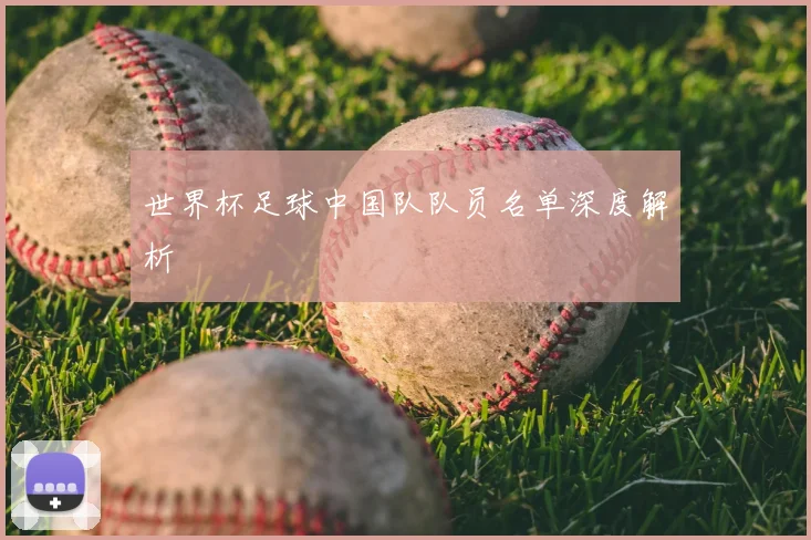 世界杯足球中国队队员名单深度解析
