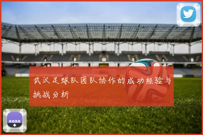 武汉足球队团队协作的成功经验与挑战分析