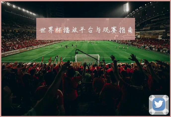 世界杯播放平台与观赛指南