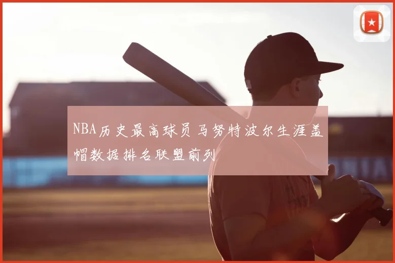 NBA历史最高球员马努特波尔生涯盖帽数据排名联盟前列
