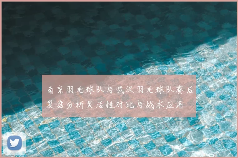 南京羽毛球队与武汉羽毛球队赛后复盘分析灵活性对比与战术应用