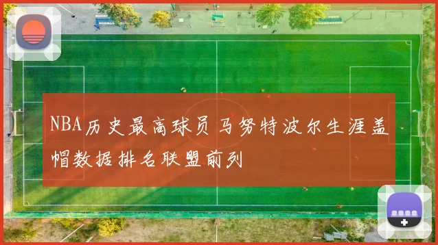NBA历史最高球员马努特波尔生涯盖帽数据排名联盟前列