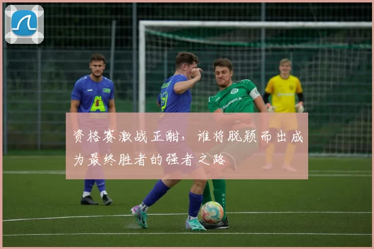 资格赛激战正酣，谁将脱颖而出成为最终胜者的强者之路