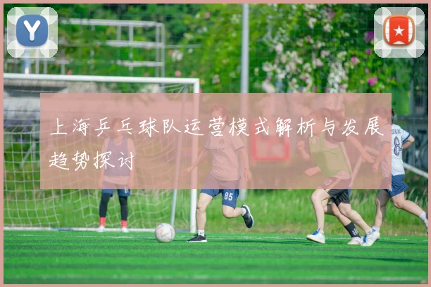 上海乒乓球队运营模式解析与发展趋势探讨