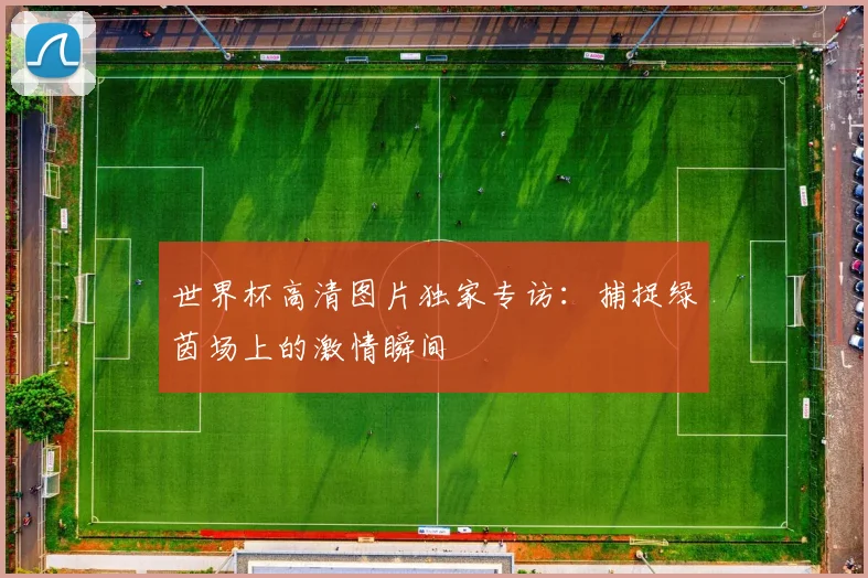 世界杯高清图片独家专访：捕捉绿茵场上的激情瞬间