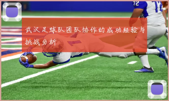 武汉足球队团队协作的成功经验与挑战分析