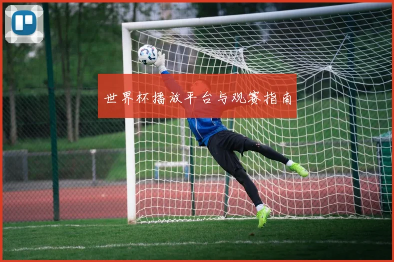 世界杯播放平台与观赛指南