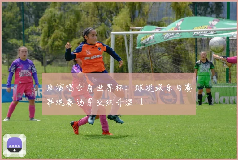 看演唱会看世界杯:球迷娱乐与赛事观赛场景交织升温_1