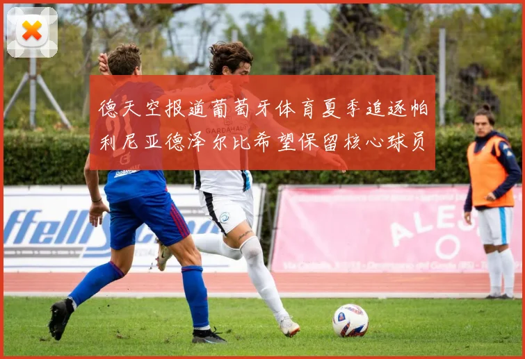德天空报道葡萄牙体育夏季追逐帕利尼亚德泽尔比希望保留核心球员