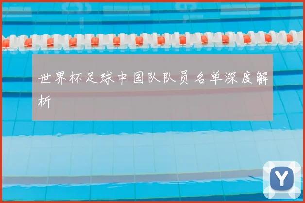 世界杯足球中国队队员名单深度解析