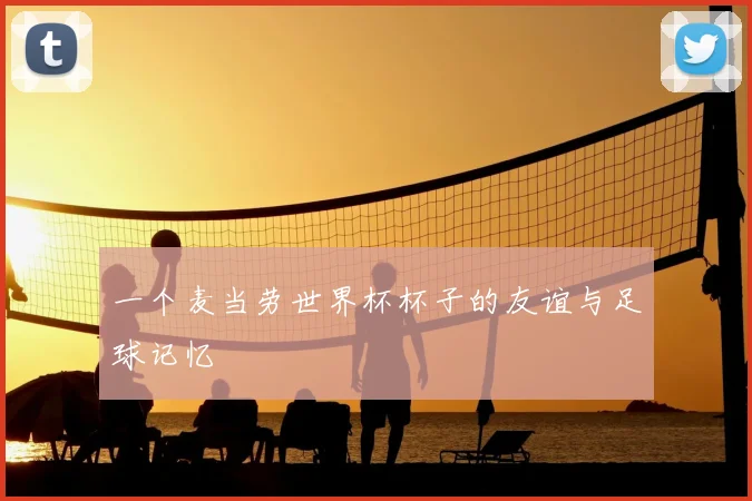 一个麦当劳世界杯杯子的友谊与足球记忆