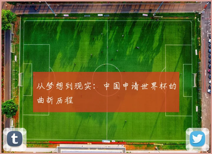 从梦想到现实:中国申请世界杯的曲折历程