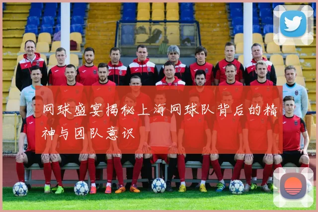 网球盛宴揭秘上海网球队背后的精神与团队意识