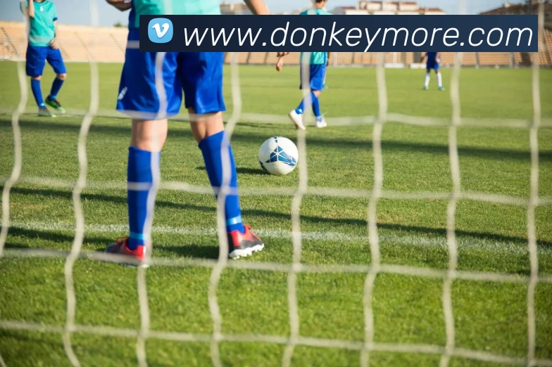 爱游戏官网平台生态图